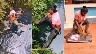 Viral Video: कड़ी मशक्कत के बाद पानी में डूब रहे हिरण को शख्स ने निकाला बाहर, मुंह से सांस देकर ऐसे दी नई जिंदगी Viral Video: कड़ी मशक्कत के बाद पानी में डूब रहे हिरण को शख्स ने निकाला बाहर, मुंह से सांस देकर ऐसे दी नई जिंदगी