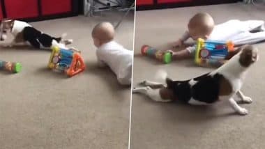 Viral Video: छोटे बच्चे को रेंगना सिखाता दिखा कुत्ता, टीचर बने डॉग और मासूम का दिल जीतने वाला वीडियो हुआ वायरल Viral Video: छोटे बच्चे को रेंगना सिखाता दिखा कुत्ता, टीचर बने डॉग और मासूम का दिल जीतने वाला वीडियो हुआ वायरल