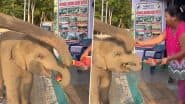 Viral Video: गजराज के साथ सड़क से गुजर रहा था नन्हा हाथी, तरबूज खाने के लिए दौड़कर पहुंचा महिला के पास और फिर...