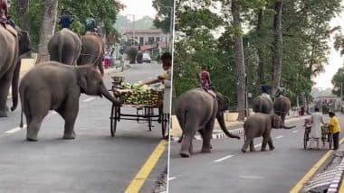 Viral Video: ठेले पर खीरा खरीद रही महिला के पास जा पहुंचा नन्हा हाथी, सूंड को आगे बढ़ाकर गजराज ने किया ऐसा काम