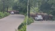 Viral Video: जंगल के बीच सड़क से गुजर रही कार को हाथियों के झुंड ने रोका, हैरान करने वाला वीडियो हुआ वायरल