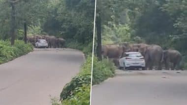 Viral Video: जंगल के बीच सड़क से गुजर रही कार को हाथियों के झुंड ने रोका, हैरान करने वाला वीडियो हुआ वायरल