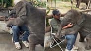 अपनी केयरटेकर को प्यार से गले लगाता दिखा नन्हा हाथी, Viral Video देख बन जाएगा आपका दिन