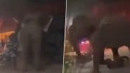 Viral Video: देहरादून में कांवड़ियों के भंडारे में हाथियों का हमला, गुस्साए जानवर ने पलट दी ट्रॉलियां, मची भगदड़