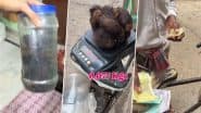 महिला ने 2 साल तक इकट्ठा किए झड़ते बाल, फिर उसे बेचकर कमाए पैसे, Viral Video देख लोग बोले- क्या जुगाड़ है