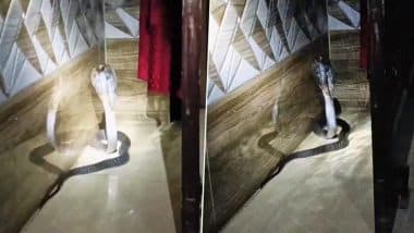 Viral Video: कमरे में सो रहे परिवार के पास जा पहुंचा किंग कोबरा, गुस्से में फन फैलाकर नागराज ने किया किया यह काम