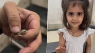 Viral Video: अपनी बेटी को पिता ने थमा दी जिंदा छिपकली, फिर जो हुआ... बच्ची के रिएक्शन को देख खुश हो जाएंगे आप