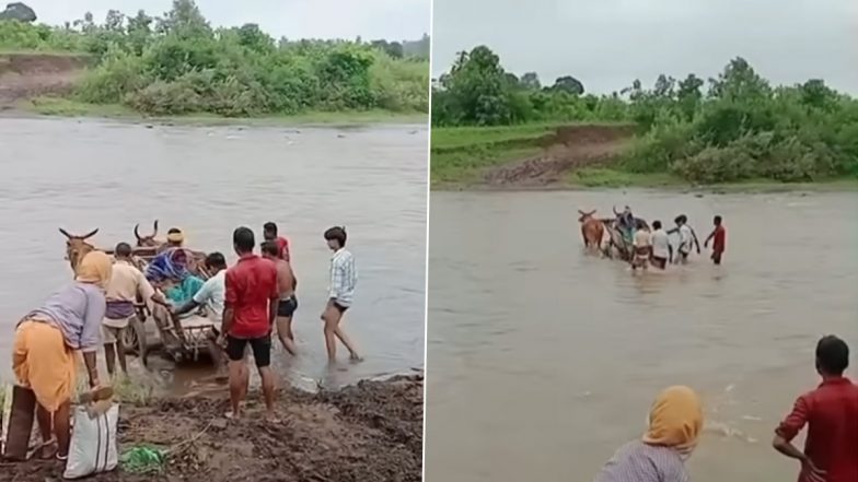 Madhya Pradesh News: सड़क न होने के कारण दर्द से कराहती दो गर्भवती महिलाओं को बैलगाड़ी और चारपाई पर लिटाकर एंबुलेंस तक पहुंचाया गया; देखें VIDEOS