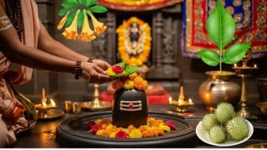 Sawan Somwar and Science 2025: ‘शिवलिंग’ एवं ‘जलाभिषेक’ का धार्मिक एवं वैज्ञानिक आशय क्या है? जानें शिव मंदिर में प्रवेश करते ही क्यों मिलती है शांति?