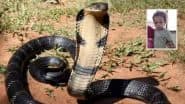 Baby vs Cobra: बिहार में अजूबा! एक साल के बच्चे ने कोबरा को काटा, सांप की मौके पर ही मौत