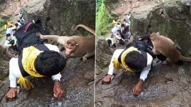 Viral Video: पहाड़ पर चढ़ने के दौरान बंदर से पंगा लेना पड़ गया महंगा, जानवर ने शख्स के साथ ऊंचाई पर किया कुछ ऐसा Viral Video: पहाड़ पर चढ़ने के दौरान बंदर से पंगा लेना पड़ गया महंगा, जानवर ने शख्स के साथ ऊंचाई पर किया कुछ ऐसा