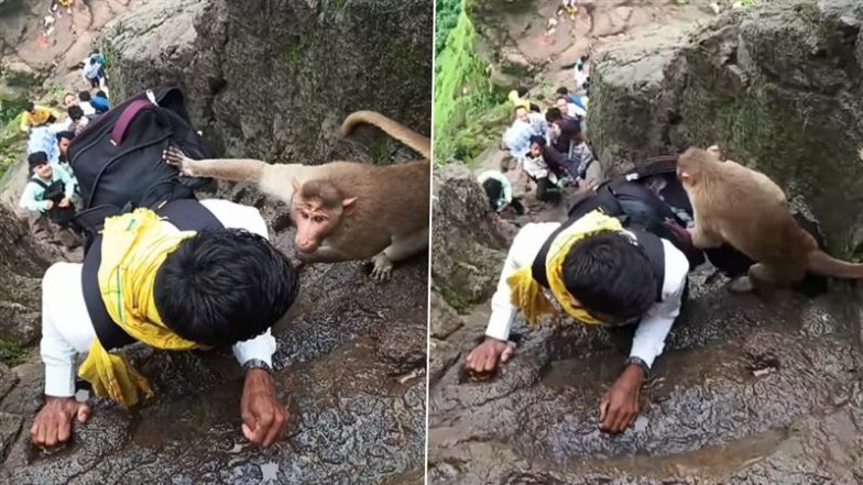 Viral Video: पहाड़ पर चढ़ने के दौरान बंदर से पंगा लेना पड़ गया महंगा, जानवर ने शख्स के साथ ऊंचाई पर किया कुछ ऐसा