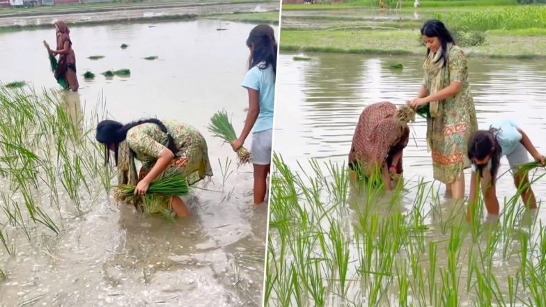 Priya Saroj Video: क्रिकेटर रिंकू सिंह की मंगेतर प्रिया सरोज धान की रोपाई करती आईं नजर, मछलीशहर से समाजवादी पार्टी की हैं सांसद