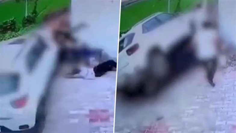Punjab: संपत्ति विवाद के चलते शख्स ने उठाया खौफनाक कदम, बड़े भाई के परिवार पर गाड़ी चढ़ाकर की जान से मारने की कोशिश (Watch Video)