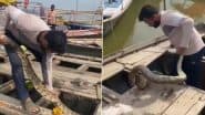 संगम किनारे खड़ी नाव में बैठे विशालकाय अजगर को देख मची चीख-पुकार, Viral Video में देखें कैसे किया गया रेस्क्यू