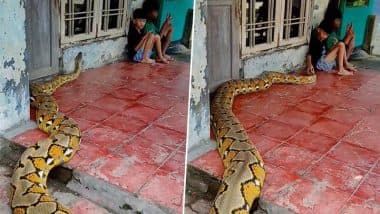 घर के बाहर जमीन पर बैठे दो बच्चों के पास रेंगते हुए पहुंचा विशालकाय अजगर, फिर जो हुआ… देखें Viral Video