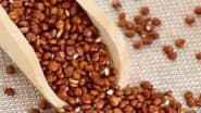 Ragi Benefits: बारिश में करें रागी का सेवन, सेहत को होंगे ये कमाल के फायदे