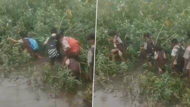 VIDEO: बीड़ के धुनकवाड गांव में बारिश से जलभराव, पक्का रास्ता न होने से बच्चों को स्कूल जाने में मुश्किलें, घने जंगलों से पड़ता है गुजरना