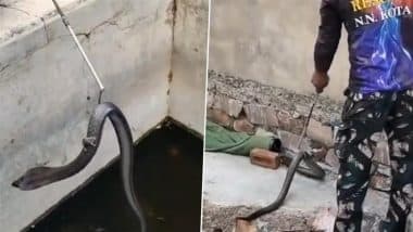 Viral Video: पानी के टैंक में फंसे सांप पर बैठकर चूहे ने बचाई अपनी जान, यह वीडियो देख आप हो जाएंगे हैरान Viral Video: पानी के टैंक में फंसे सांप पर बैठकर चूहे ने बचाई अपनी जान, यह वीडियो देख आप हो जाएंगे हैरान