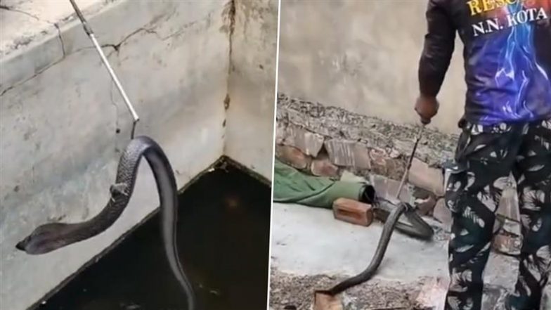 Viral Video: पानी के टैंक में फंसे सांप पर बैठकर चूहे ने बचाई अपनी जान, यह वीडियो देख आप हो जाएंगे हैरान