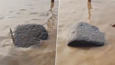 यूपी के गाजीपुर में गंगा के पानी में लहरों के साथ तैरता दिखा पत्थर का बड़ा टुकड़ा, Viral Video देख लोग हुए हैरान