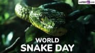 World Snake Day 2025: कब और क्यों मनाया जाता है विश्व सर्प दिवस? जानें विश्व के 10 सबसे जहरीले सांपों के बारे में!