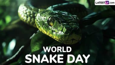 World Snake Day 2025: कब और क्यों मनाया जाता है विश्व सर्प दिवस? जानें विश्व के 10 सबसे जहरीले सांपों के बारे में! World Snake Day 2025: कब और क्यों मनाया जाता है विश्व सर्प दिवस? जानें विश्व के 10 सबसे जहरीले सांपों के बारे में!