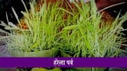 Harela 2025: प्रकृति, परंपरा और हरियाली का उत्सव है उत्तराखंड का लोकपर्व हरेला, जानें इसके बारें में