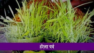 Harela 2025: प्रकृति, परंपरा और हरियाली का उत्सव है उत्तराखंड का लोकपर्व हरेला, जानें इसके बारें में Harela 2025: प्रकृति, परंपरा और हरियाली का उत्सव है उत्तराखंड का लोकपर्व हरेला, जानें इसके बारें में