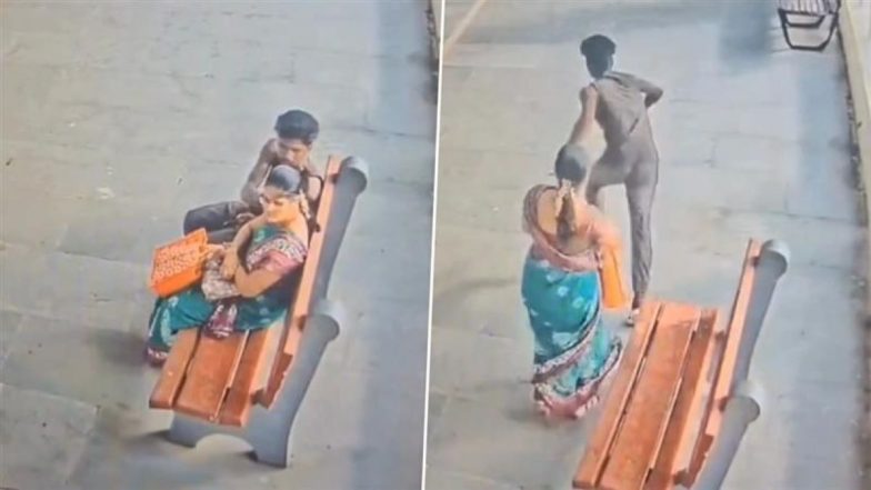 Video: चुपचाप साथ बैठा, फिर झपट्टा मारा, चेन्नई के तारामाणी रेलवे स्टेशन पर  महिला से चेन स्नैचिंग की सनसनीखेज वारदात