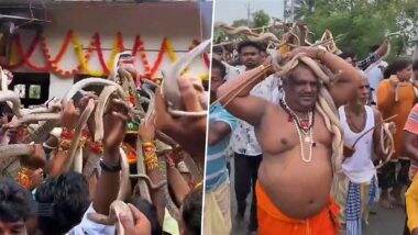 Snake Fair: बिहार में लगता है जहरीले सांपों का अनोखा मेला, गर्दन और हाथ में नाग लेकर लोग दिखाते हैं करतब Snake Fair: बिहार में लगता है जहरीले सांपों का अनोखा मेला, गर्दन और हाथ में नाग लेकर लोग दिखाते हैं करतब