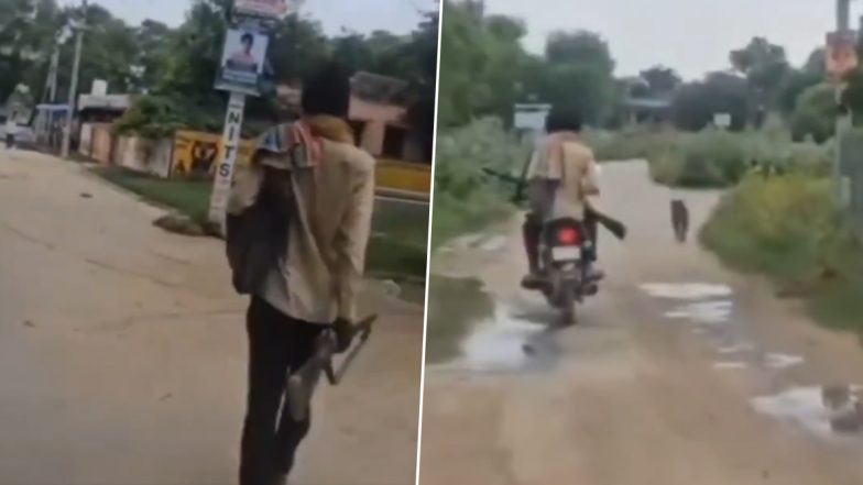 25 Dogs Were killed: बेजुबानों के साथ क्रूरता! 25 कुत्तों की गोली मारकर हत्या, बेखौफ गांव में बंदूक लेकर घूमा शख्स, राजस्थान के झुंझुनू का वीडियो आया सामने; VIDEO