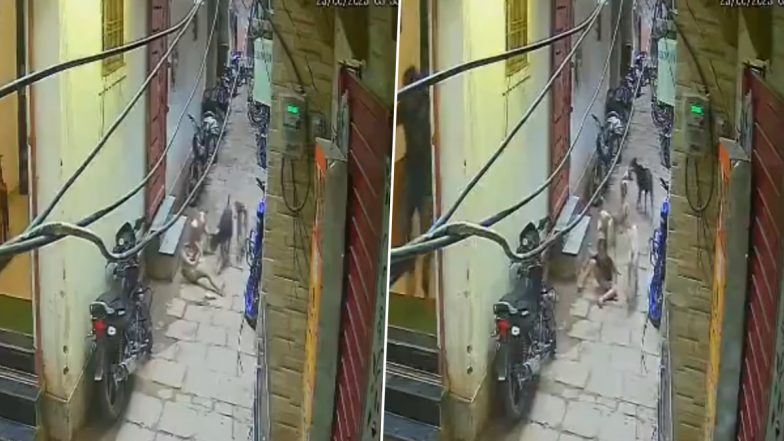 Dog Attack In Varanasi: कुत्तों के झुंड ने किया बच्ची पर हमला, चीख पुकार सुनकर दौड़े लोगों ने बचाई जान, वाराणसी का भयावह VIDEO आया सामने
