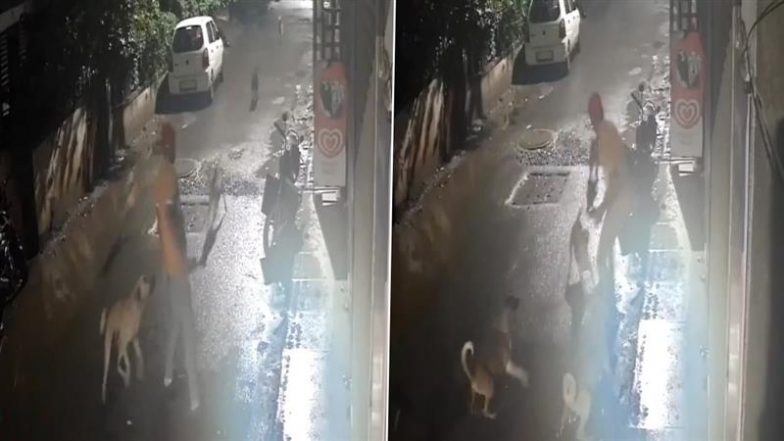 Pune Dog Attack: आवारा कुत्तों के झुंड ने एक साथ किया हमला, शख्स ने किसी तरह बचाई अपनी जान; पूरी घटना CCTV में कैद