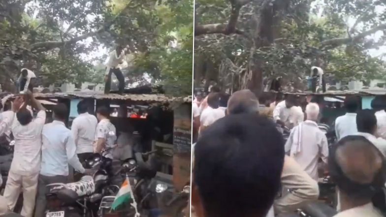 Auraiya: पैसों की बैग लेकर पेड़ पर चढ़ा बंदर, ऊपर से फेंकने लगा 500 रूपए के नोट, लोगों की लगी भीड़, औरैया का वीडियो आया सामने; VIDEO