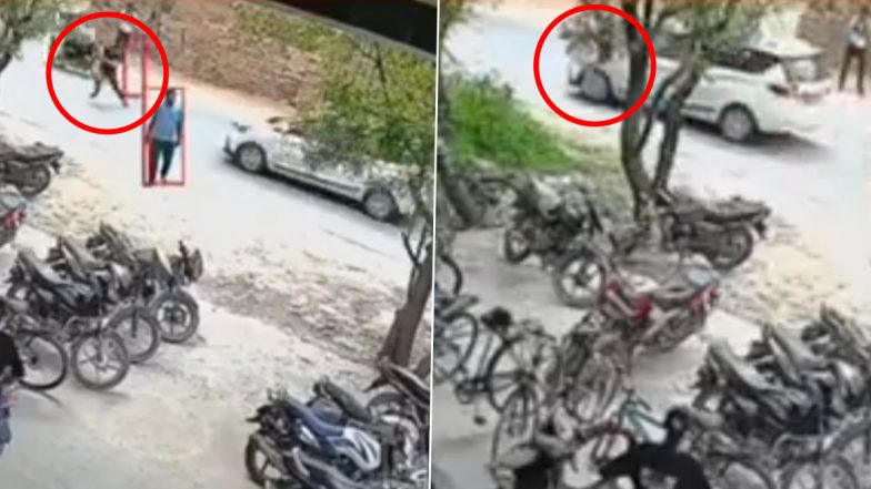 Agra Road Accident: सड़क पार कर रहे छात्र को तेज रफ्तार कार सवार ने मारी टक्कर, कई फीट तक उछलकर गिरा, आगरा का VIDEO आया सामने