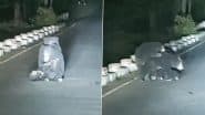 Heart-Melting Video: एमपी के शहडोल में तेज़ रफ़्तार गाड़ी की चपेट में आए घायल बच्चे की मदद करती दिखी मां भालू, देखें दिल छू लेनेवाला वीडियो