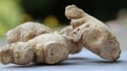 Benefits of Dry Ginger: कैंसर जैसी बीमारियों से बचाव करे सोंठ, जानें इसके वैज्ञानिक और आयुर्वेदिक लाभ