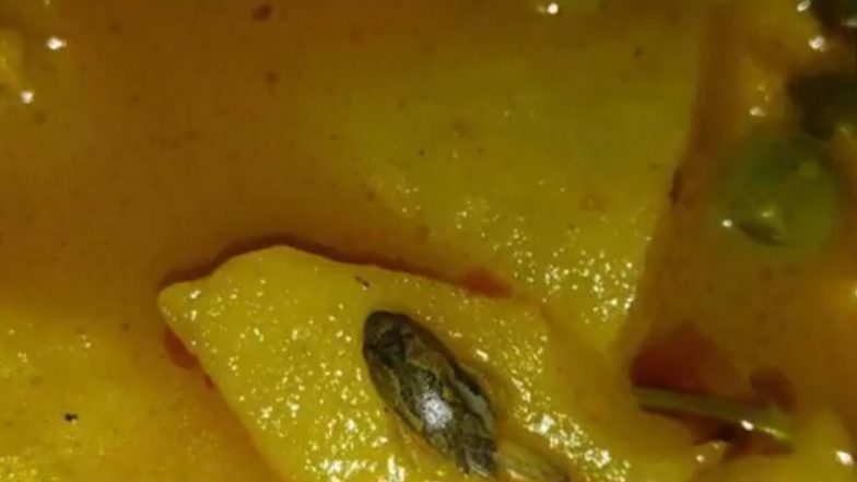 Frog Found in Hostel Food: ये क्या हो रहा है! अब मध्य प्रदेश के शिवपुरी के एक हॉस्टल के खाने में मिला मेंढक, सोशल मीडिया पर वीडियो आया सामने; VIDEO