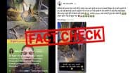 Fact Check: अब कुत्तों को सड़कों से हटाने के नाम पर बेरहमी से मारा जा रहा है? वियतनाम के वीडियो को दिल्ली का बताकर किया जा रहा वायरल, जानें सच्चाई