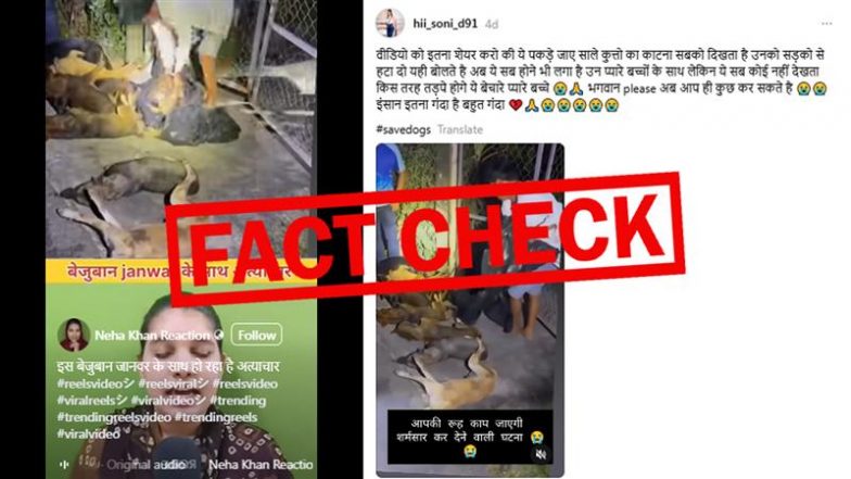 Fact Check: अब कुत्तों को सड़कों से हटाने के नाम पर बेरहमी से मारा जा रहा है? वियतनाम के वीडियो को दिल्ली का बताकर किया जा रहा वायरल, जानें सच्चाई