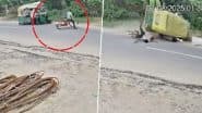 Gujarat Road Accident: गुजरात के पाटन जिले में भीषण सड़क हादसा! तेज रफ्तार ऑटो रिक्शा ने साइकिल सवार को मारी टक्कर; VIDEO