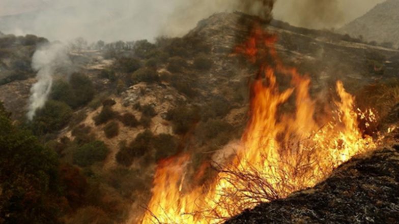 Forest Fires in Greece: ग्रीस के जंगलों में लगी भीषण आग, लोगों को सुरक्षित स्थान पर पहुंचाया जा रहा
