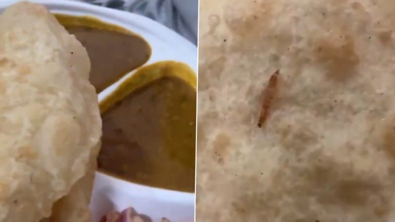 Insect Found in Bhatura: स्कूल की कैंटीन के भटूरे में निकला कीड़ा, ग्रेटर नोएडा का VIDEO आया सामने