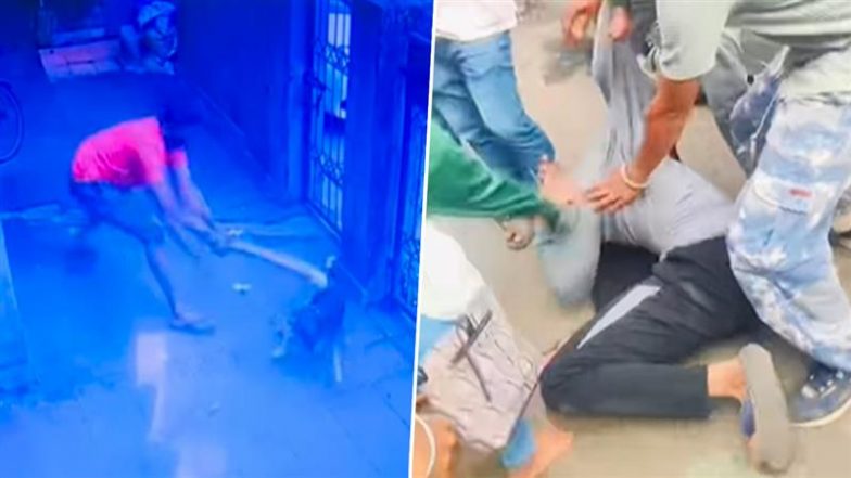 Navi Mumbai: कोपर खैराने में कुत्ते को डंडे से पीटनेवाले की एनिमल लवर्स ने चप्पलों से पिटाई, वीडियो वायरल