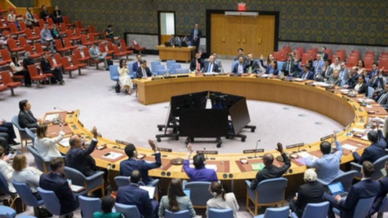 Security Council: सुरक्षा परिषद ने लेबनान में संयुक्त राष्ट्र शांति सेना का कार्यकाल 'अंतिम' बार बढ़ाया