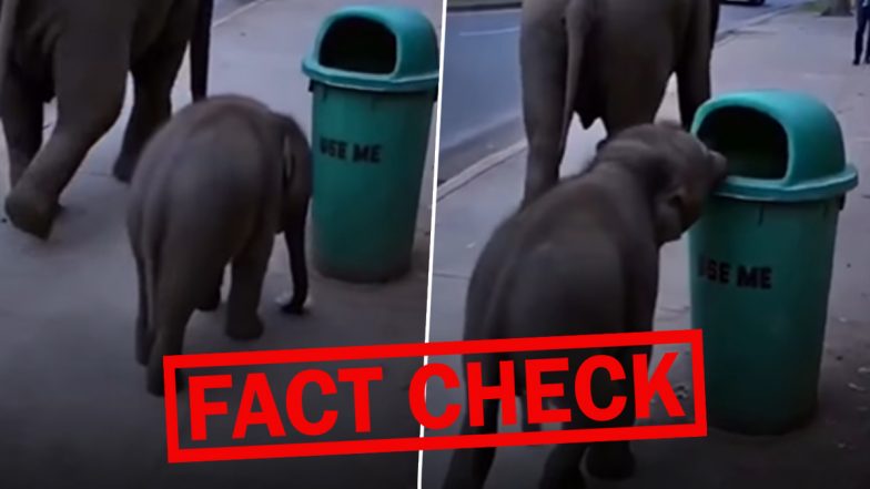 Fact Check: क्या सच में हाथी के बच्चे ने नीचे पड़े टीन के कैन को डस्टबिन में फेंका था, जाने वायरल हो रहे इस वीडियो की सच्चाई
