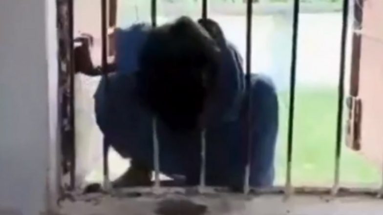 Odisha: लापरवाही की हदें पार! बच्ची को स्कूल में ही छोड़ गए टीचर, रात भर अकेली खिड़की में फंसी रही मासूम, ओडिशा के केओंझर ज़िले का वीडियो आया सामने; VIDEO