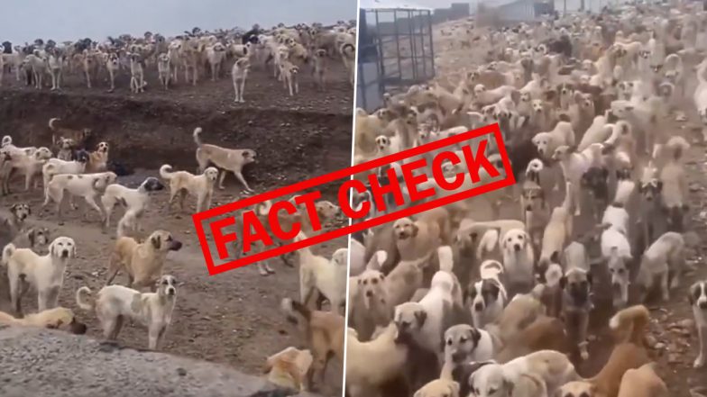 Fact Check: बड़े से मैदान के डॉग शेल्टर में बंद है हजारों कुत्ते, दिल्ली के नाम से वायरल हो रहे इस वीडियो की जाने सच्चाई