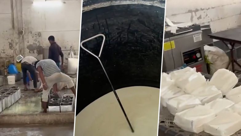 Fake Paneer Factory Busted: लोगों के स्वास्थ के खिलवाड़! पाम ऑयल और इंडस्ट्रियल एसिड से बनाया जा रहा था पनीर, मेहसाना में 650 किलो पनीर एफडीए ने किया जब्त; VIDEO